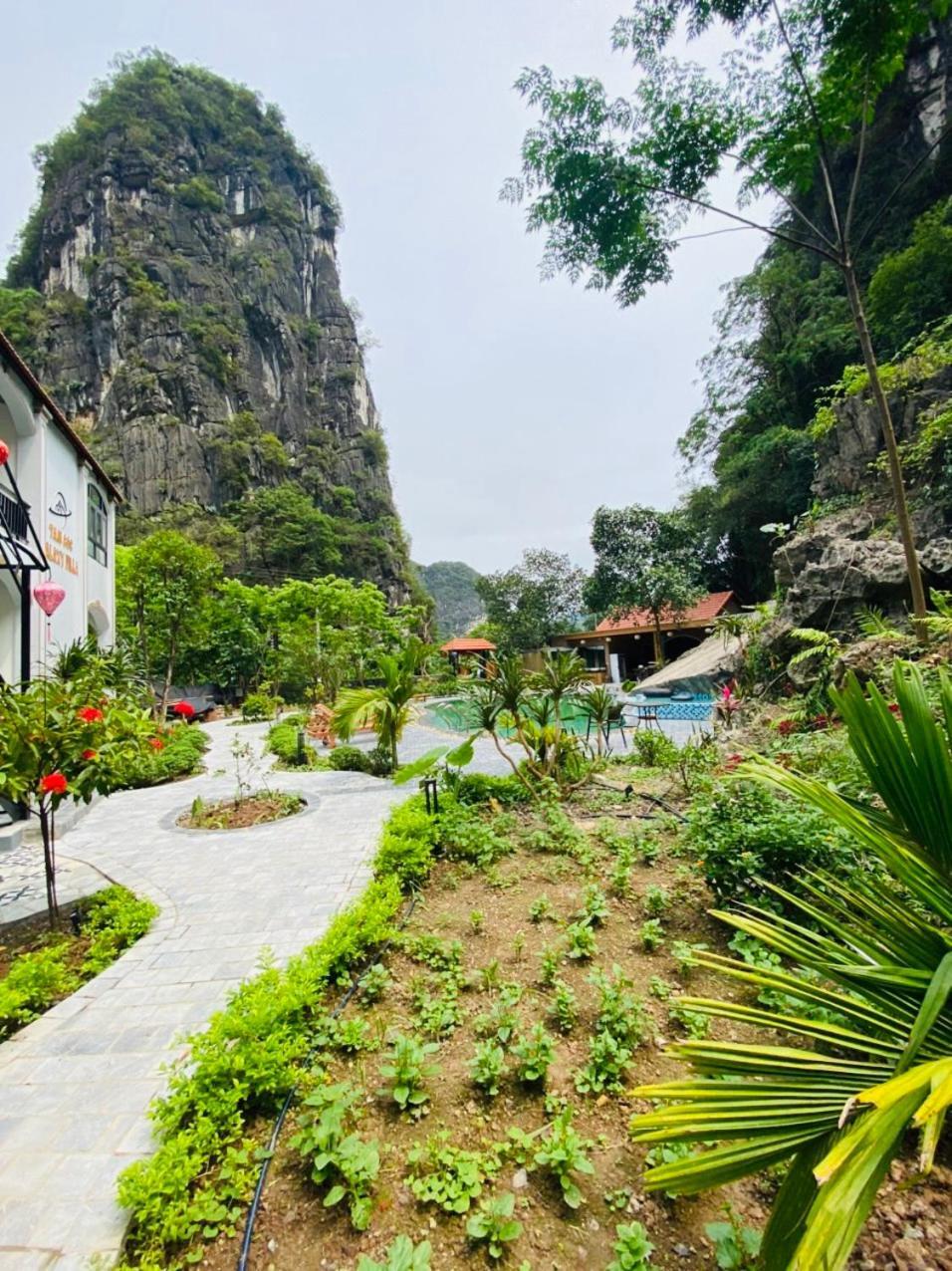 Tam Coc Galaxy Villa Ниньбинь Экстерьер фото